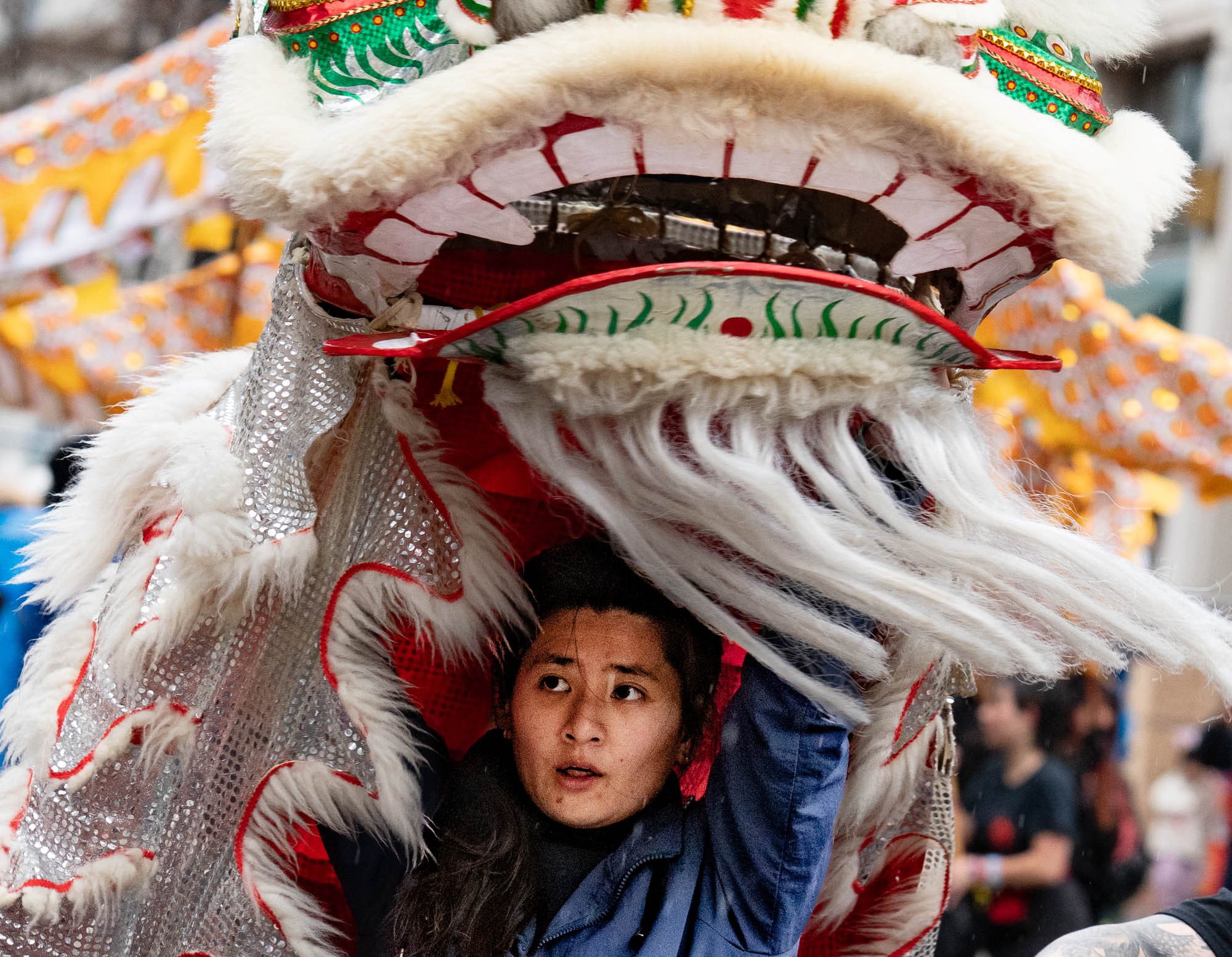 Year of the Horse